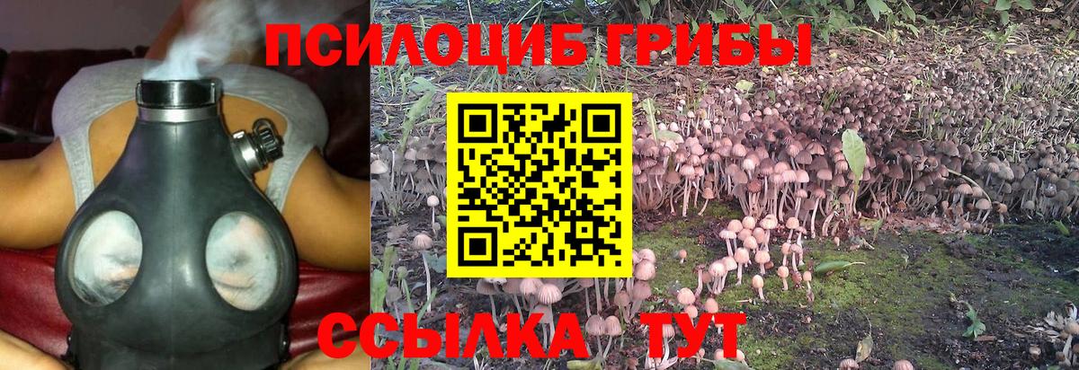 Елабуга  Галлюциногенные грибы мухоморы  Галлюциногенные грибы Cubensis  Вход с VPN 